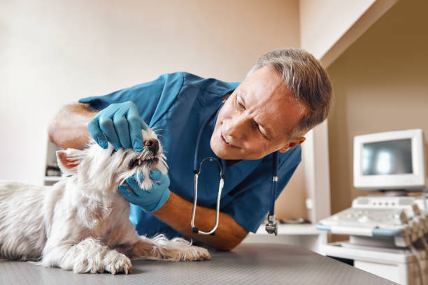 Best Broken Tooth Emergency  in North Scituate, MA